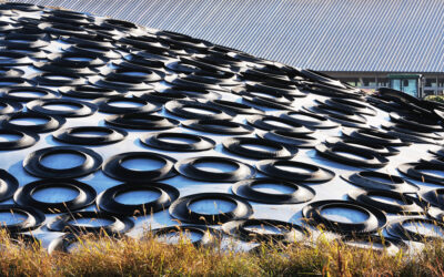 Is Your Silage Pile Making Your Herd Sick? (The Hidden Dangers of Whole Tires)