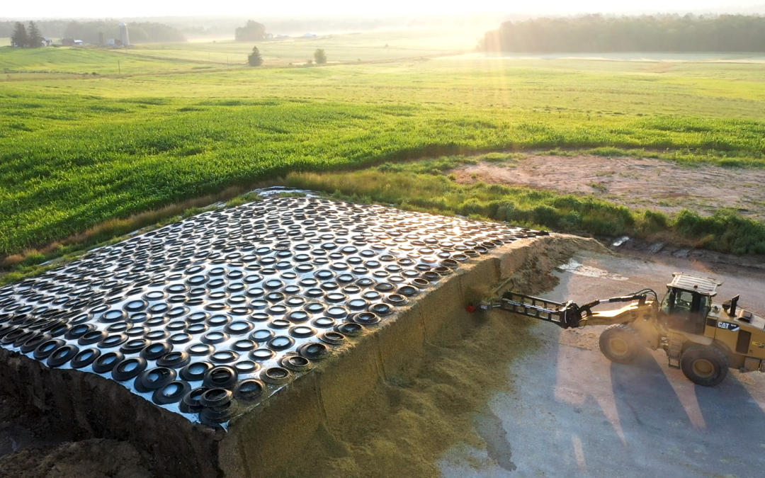 Is Your Profit Blowing Away? The Real Cost of Silage Shrink