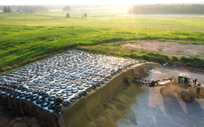 Is Your Profit Blowing Away? The Real Cost of Silage Shrink
